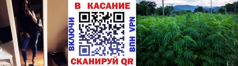 Как найти наркотики Звенигово СК МАРИХУАНА