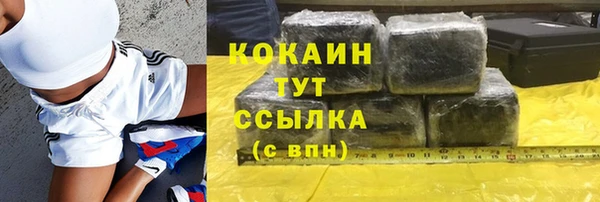 прущий лед Алзамай
