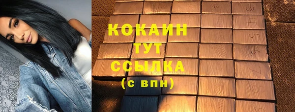 прущий лед Алзамай