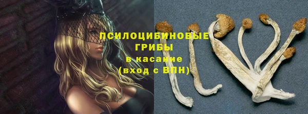 прущий лед Алзамай