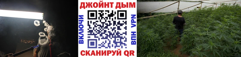 Бошки марихуана гибрид  купить наркотик  Звенигово 